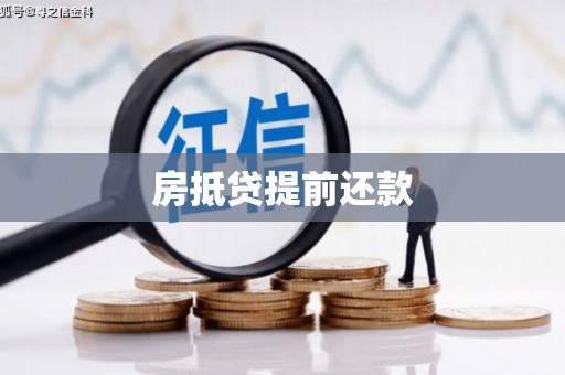 松江房抵贷提前还款