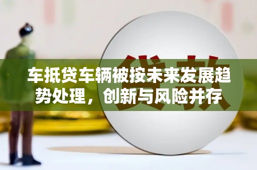茂林车抵贷车辆被按未来发展趋势处理，创新与风险并存