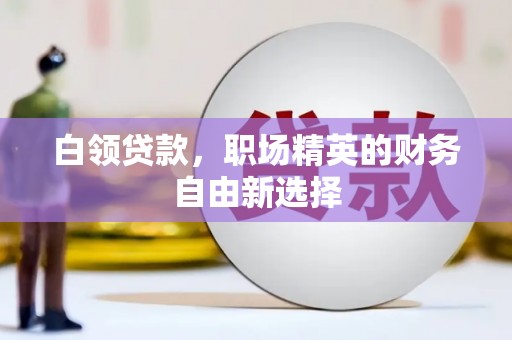 茂林白领贷款，职场精英的财务自由新选择