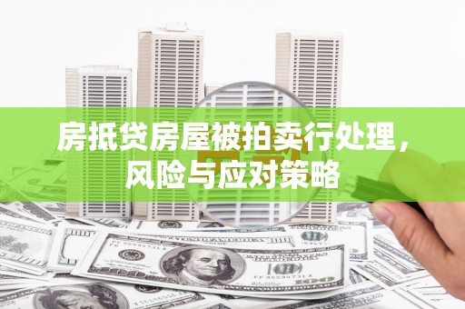 北海新区房抵贷房屋被拍卖行处理，风险与应对策略
