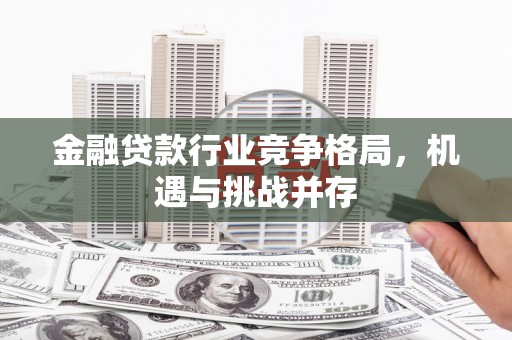 肃北金融贷款行业竞争格局，机遇与挑战并存