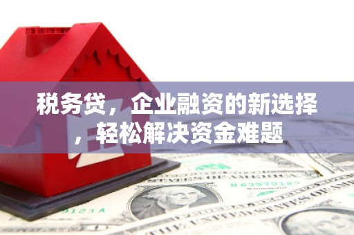 东至税务贷，企业融资的新选择，轻松解决资金难题