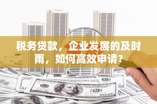 阜南税务贷款，企业发展的及时雨，如何高效申请？