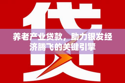 随州养老产业贷款，助力银发经济腾飞的关键引擎
