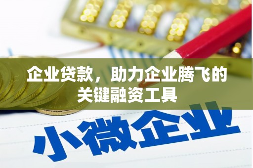 新晃企业贷款，助力企业腾飞的关键融资工具
