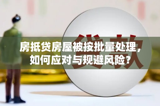 楠西房抵贷房屋被按批量处理，如何应对与规避风险？