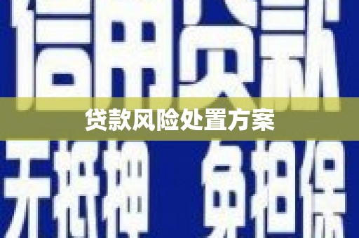 兰州贷款风险处置方案