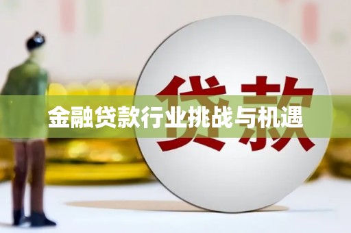 澜沧金融贷款行业挑战与机遇