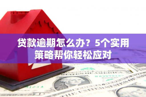 柯城贷款逾期怎么办？5个实用策略帮你轻松应对
