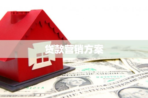 鹿野贷款营销方案