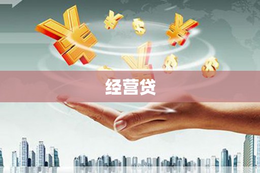 斗南经营贷