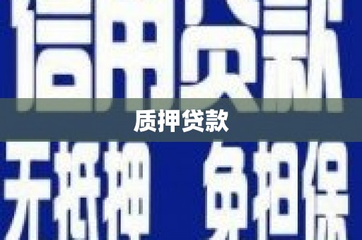 赵县质押贷款
