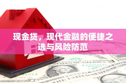 大埤现金贷，现代金融的便捷之选与风险防范