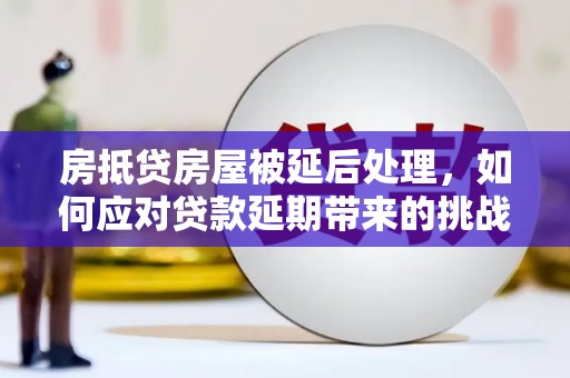 沙田房抵贷房屋被延后处理，如何应对贷款延期带来的挑战？