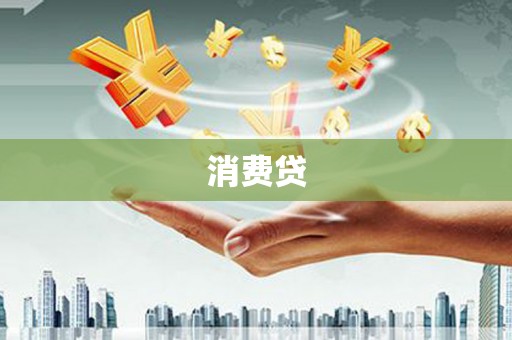 大通消费贷
