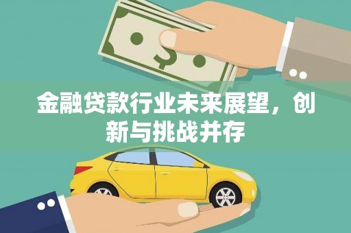 民勤金融贷款行业未来展望，创新与挑战并存