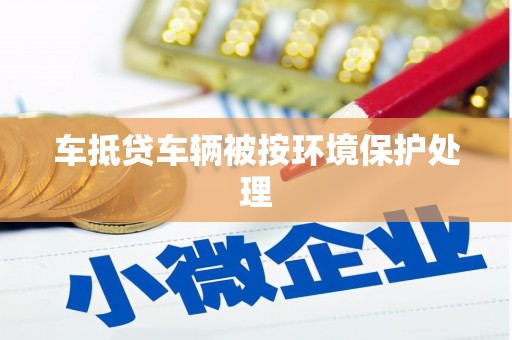 文山车抵贷车辆被按环境保护处理