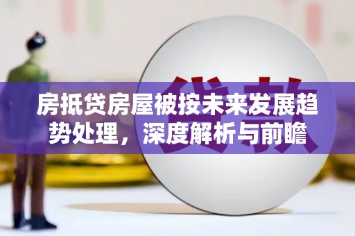 文山房抵贷房屋被按未来发展趋势处理，深度解析与前瞻