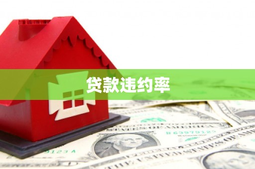 和龙贷款违约率