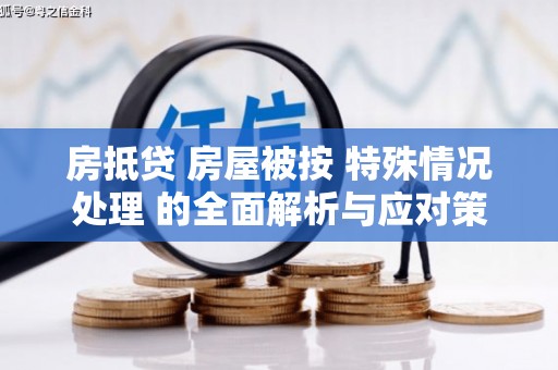 龙文房抵贷 房屋被按 特殊情况处理 的全面解析与应对策略