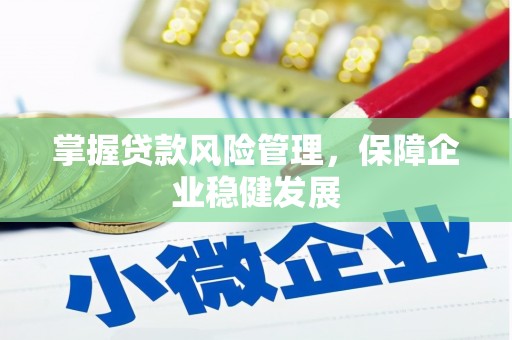 海宁掌握贷款风险管理，保障企业稳健发展