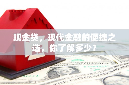 海宁现金贷，现代金融的便捷之选，你了解多少？