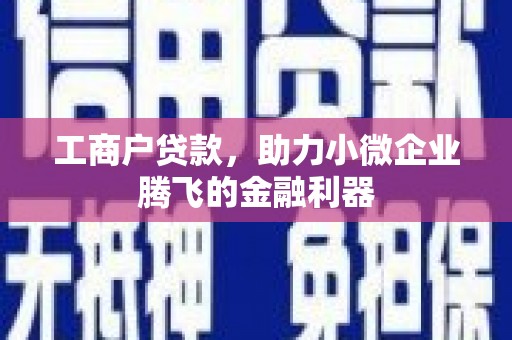 抚州工商户贷款，助力小微企业腾飞的金融利器