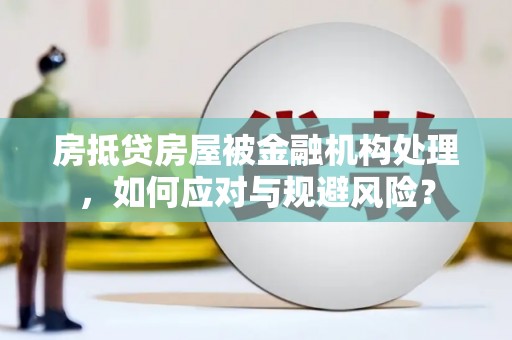 麻豆房抵贷房屋被金融机构处理，如何应对与规避风险？