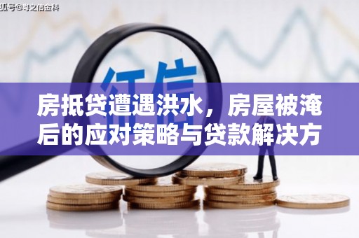 两当房抵贷遭遇洪水，房屋被淹后的应对策略与贷款解决方案