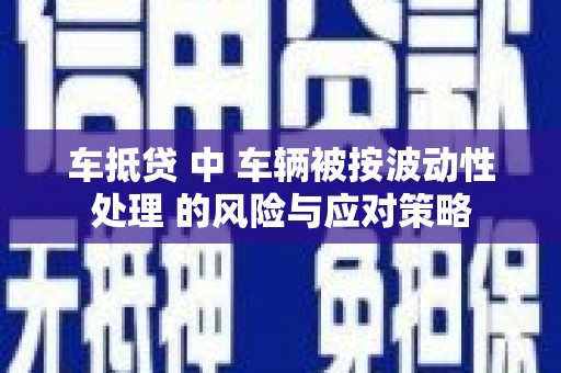 黄南车抵贷 中 车辆被按波动性处理 的风险与应对策略