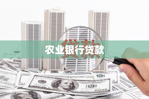 瑞丽农业银行贷款