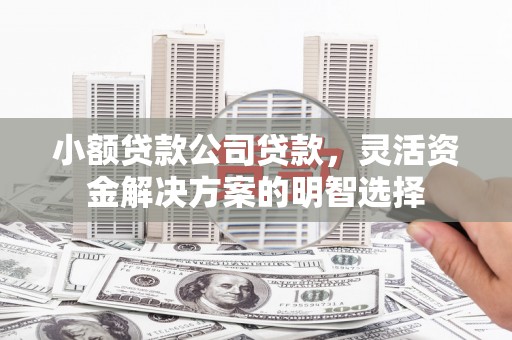 东湖小额贷款公司贷款，灵活资金解决方案的明智选择