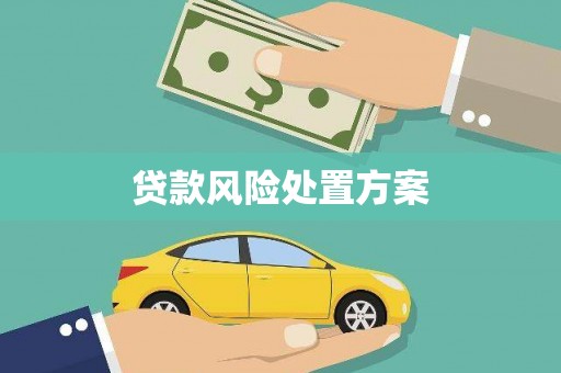 顺义贷款风险处置方案