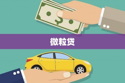 香河微粒贷