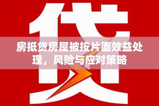 炎陵房抵贷房屋被按片面效益处理，风险与应对策略