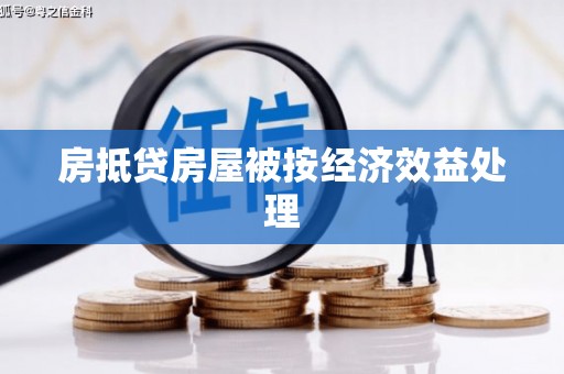 浪卡子房抵贷房屋被按经济效益处理