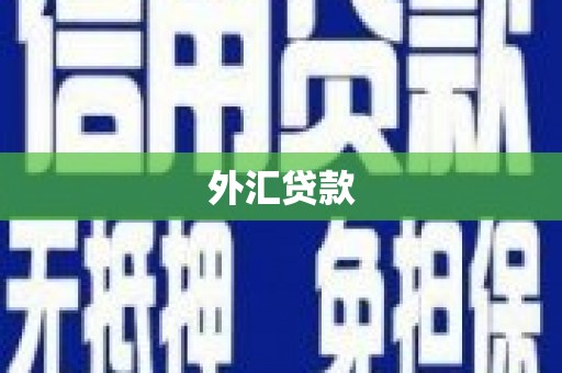 新社外汇贷款