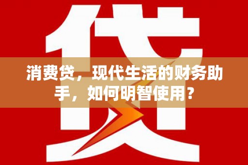 芳苑消费贷，现代生活的财务助手，如何明智使用？