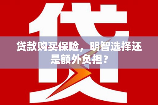 密山贷款购买保险，明智选择还是额外负担？