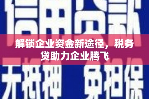 宁化解锁企业资金新途径，税务贷助力企业腾飞