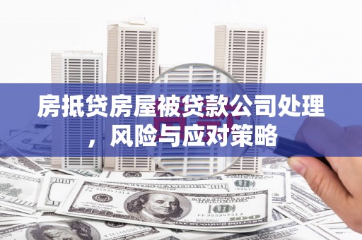 和政房抵贷房屋被贷款公司处理，风险与应对策略
