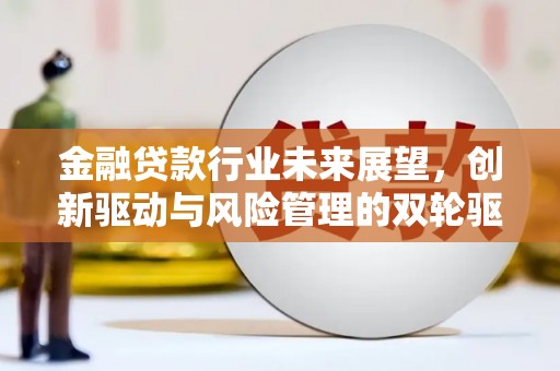 武冈金融贷款行业未来展望，创新驱动与风险管理的双轮驱动