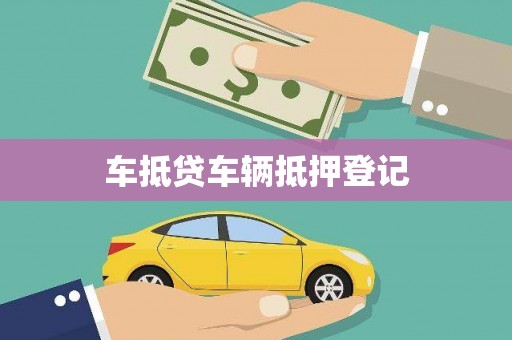 光山车抵贷车辆抵押登记