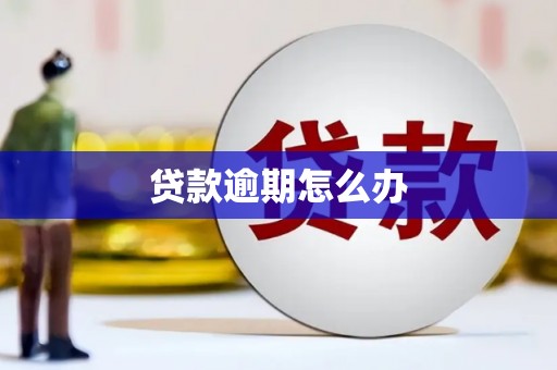 海口贷款逾期怎么办