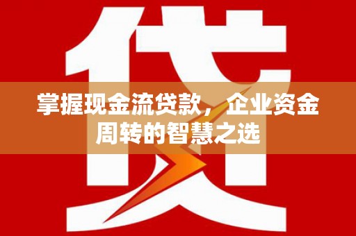 泰来掌握现金流贷款，企业资金周转的智慧之选
