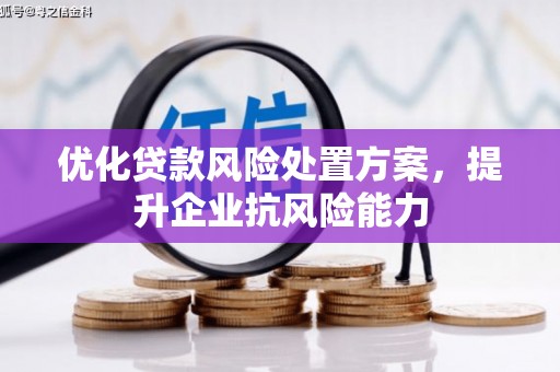 资兴优化贷款风险处置方案，提升企业抗风险能力