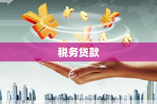 武冈税务贷款