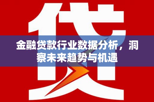 顺城金融贷款行业数据分析，洞察未来趋势与机遇