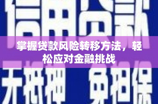 杨梅掌握贷款风险转移方法，轻松应对金融挑战