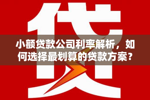 永新小额贷款公司利率解析，如何选择最划算的贷款方案？